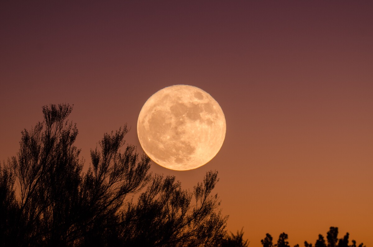 Transform Your Night with these Easy Supermoon Rituals